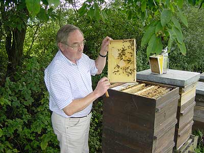 Imker mit Wabe am Bienenstand